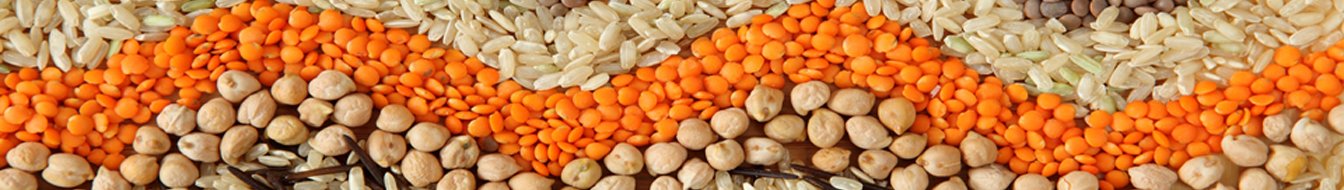 Hammer Crusher Grinder