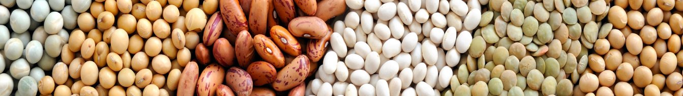 Grain Grinding Machine